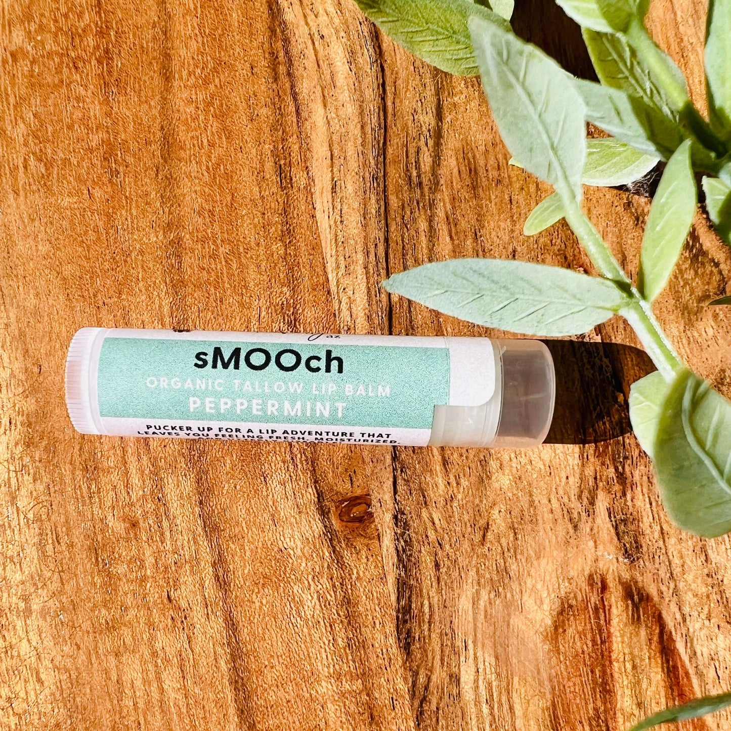 sMOOch Tallow Lip Balm - Peppermint