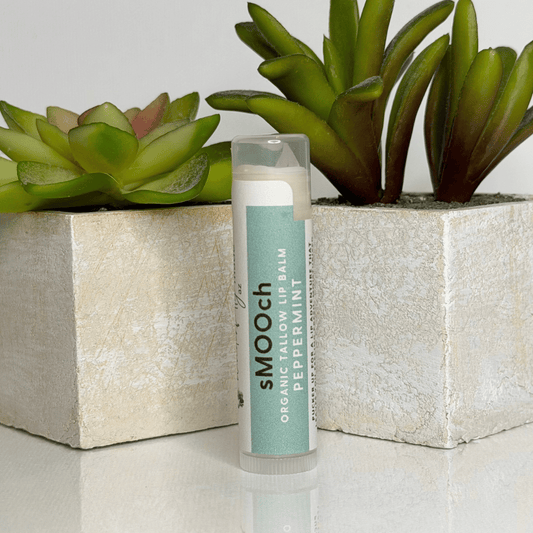 Lip balm with 'sMOOch' branding in front of potted plants