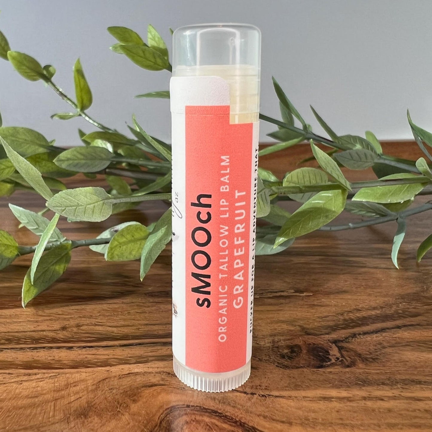 sMOOch Tallow Lip Balm - Grapefruit