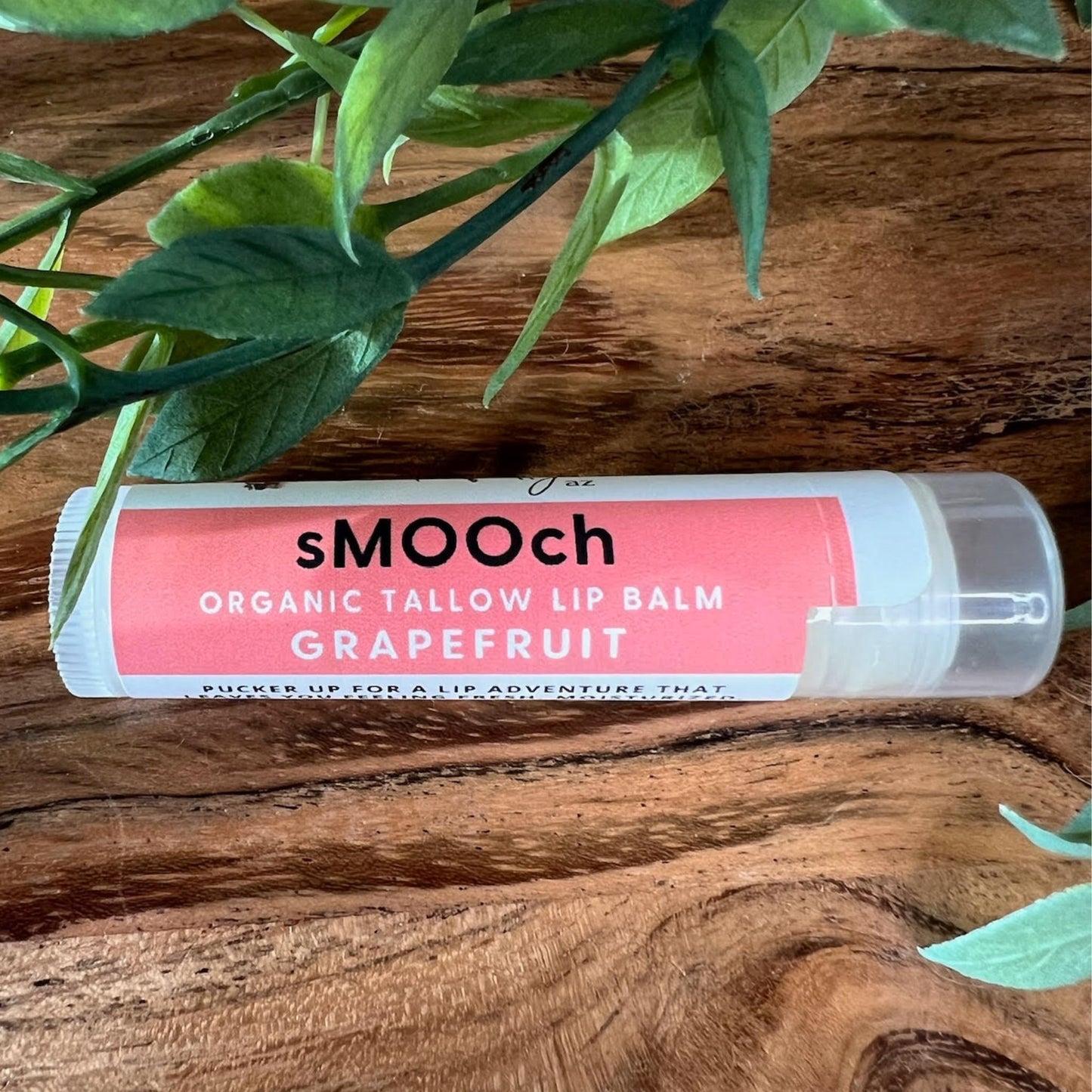 sMOOch Tallow Lip Balm - Grapefruit